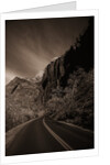 A Road in Zion National Park by Anonymous