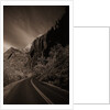 A Road in Zion National Park by Anonymous