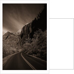 A Road in Zion National Park by Anonymous