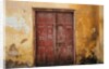 Wooden Door in Worn Wall by Anonymous
