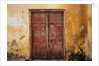 Wooden Door in Worn Wall by Anonymous