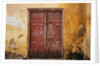 Wooden Door in Worn Wall by Anonymous
