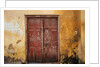 Wooden Door in Worn Wall by Anonymous