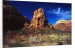 Butte in Zion National Park by Anonymous