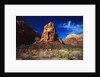 Butte in Zion National Park by Anonymous