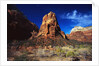 Butte in Zion National Park by Anonymous