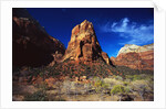 Butte in Zion National Park by Anonymous