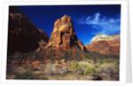 Butte in Zion National Park by Anonymous