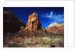 Butte in Zion National Park by Anonymous