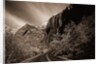 A Road in Zion National Park by Anonymous