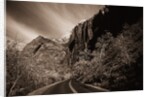A Road in Zion National Park by Anonymous