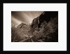 A Road in Zion National Park by Anonymous