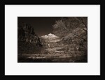 Mountains and Tree from Valley Floor by Anonymous