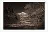 Mountains and Tree from Valley Floor by Anonymous