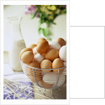 Eggs in a Metal Basket by Anonymous