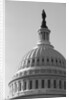Dome of U.S. Capitol by Anonymous