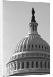 Dome of U.S. Capitol by Anonymous