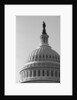Dome of U.S. Capitol by Anonymous