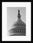 Dome of U.S. Capitol by Anonymous