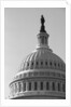 Dome of U.S. Capitol by Anonymous