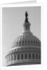 Dome of U.S. Capitol by Anonymous
