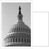 Dome of U.S. Capitol by Anonymous