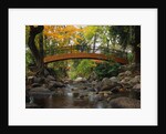 Footbridge over Stream by Anonymous