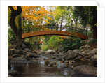 Footbridge over Stream by Anonymous