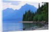 Mountains and Lake McDonald Shoreline by Anonymous