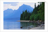 Mountains and Lake McDonald Shoreline by Anonymous