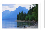 Mountains and Lake McDonald Shoreline by Anonymous