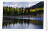 Autumn Trees on Mountain Lake by Anonymous