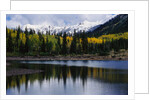 Autumn Trees on Mountain Lake by Anonymous