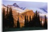 Mount Rainier and Evergreens by Anonymous