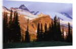 Mount Rainier and Evergreens by Anonymous