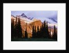 Mount Rainier and Evergreens by Anonymous