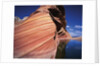 Water at Coyote Buttes by Anonymous