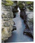 Athabasca River by Anonymous