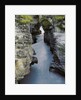 Athabasca River by Anonymous