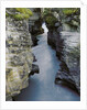 Athabasca River by Anonymous