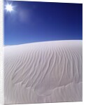 Sun Shining on Desert Sand by Anonymous