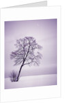 Lone Tree in Snow by Anonymous