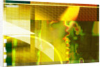 Yellow Patterns by Anonymous