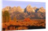 A Farm and the Teton Range by Anonymous
