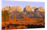A Farm and the Teton Range by Anonymous