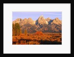 A Farm and the Teton Range by Anonymous