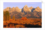A Farm and the Teton Range by Anonymous