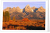 A Farm and the Teton Range by Anonymous