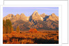 A Farm and the Teton Range by Anonymous