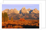 A Farm and the Teton Range by Anonymous